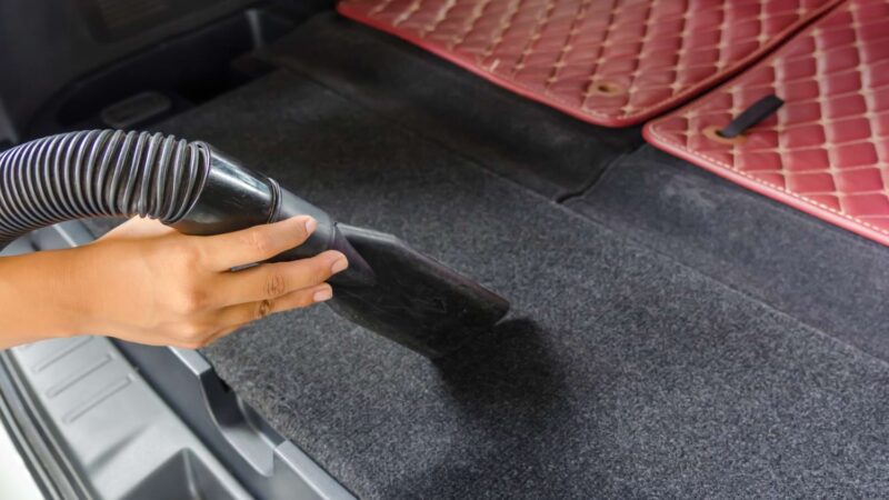 Umweltfreundliche Mobilität und maßgeschneiderter Komfort im Transportwesen